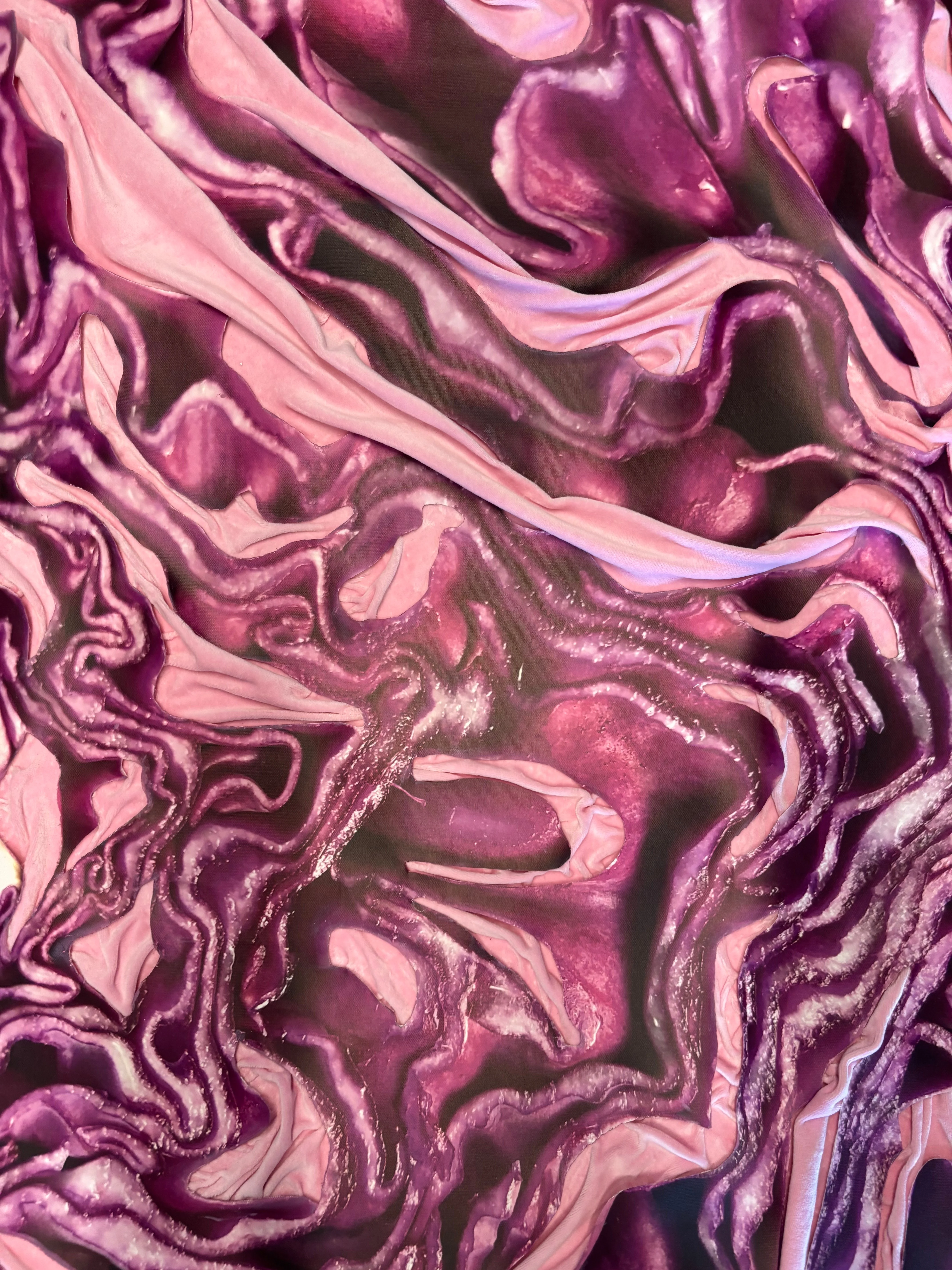 Rotkohl – Gesamtansicht